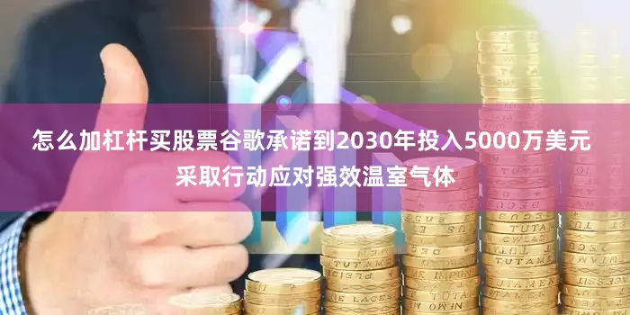 怎么加杠杆买股票谷歌承诺到2030年投入5000万美元 采取行动应对强效温室气体