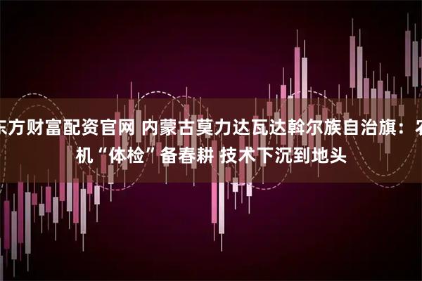 东方财富配资官网 内蒙古莫力达瓦达斡尔族自治旗：农机“体检”备春耕 技术下沉到地头