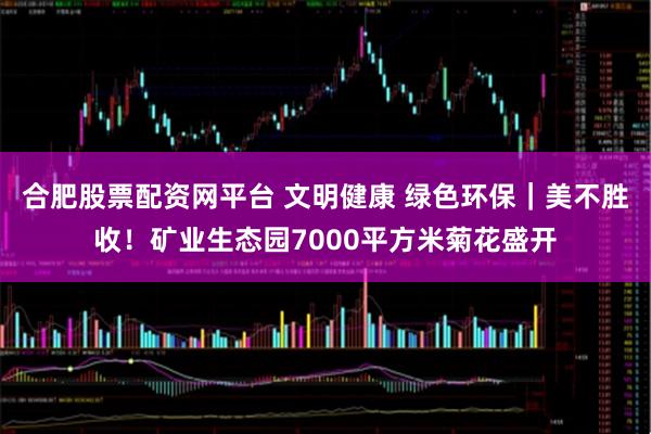 合肥股票配资网平台 文明健康 绿色环保｜美不胜收！矿业生态园7000平方米菊花盛开
