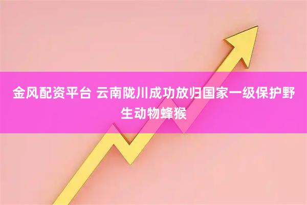 金风配资平台 云南陇川成功放归国家一级保护野生动物蜂猴