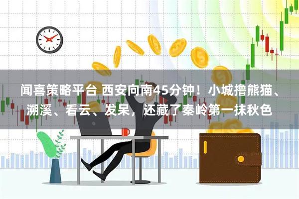 闻喜策略平台 西安向南45分钟！小城撸熊猫、溯溪、看云、发呆，还藏了秦岭第一抹秋色