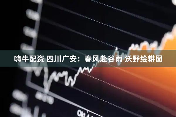 嗨牛配资 四川广安：春风赴谷雨 沃野绘耕图